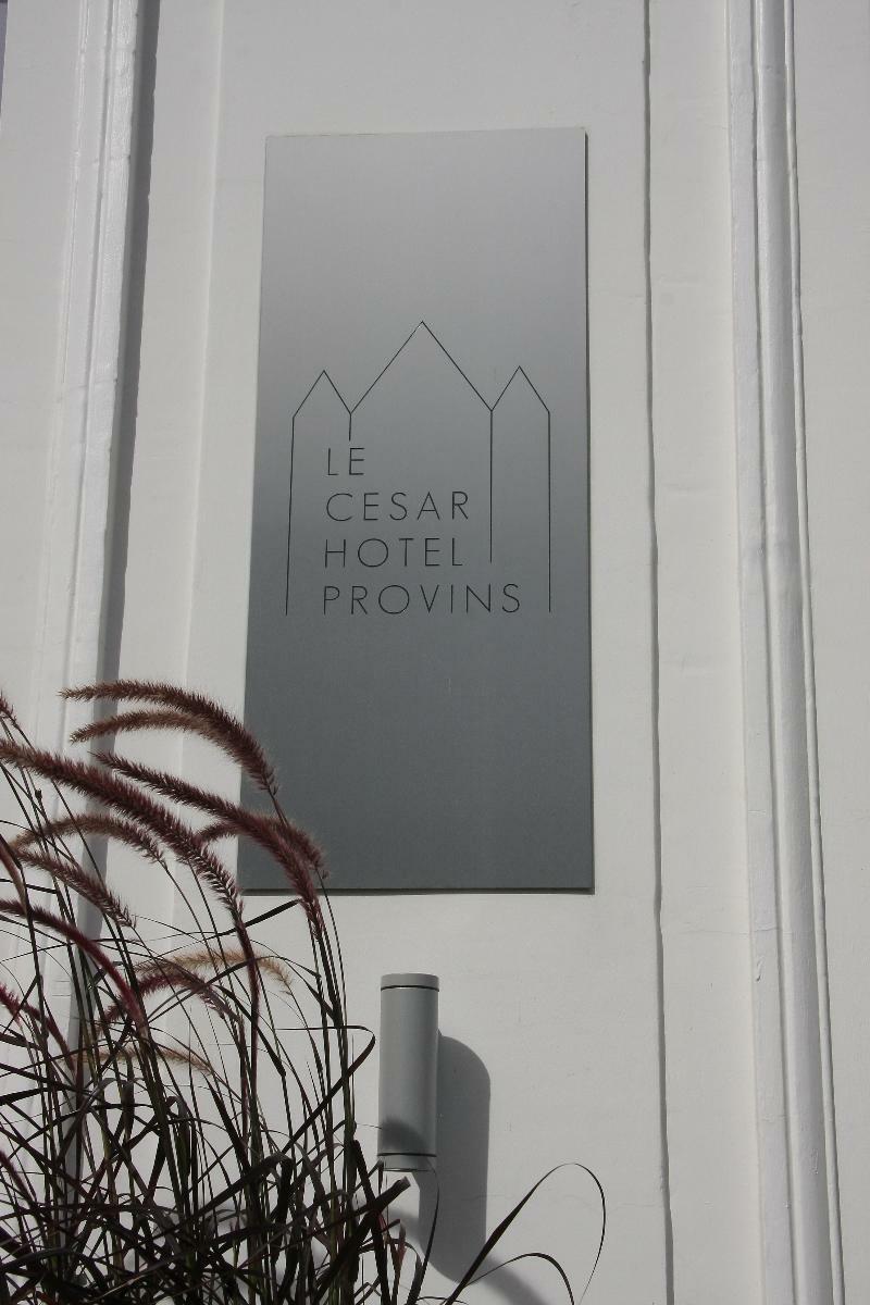 Le Cesar Hotel Provins Bagian luar foto